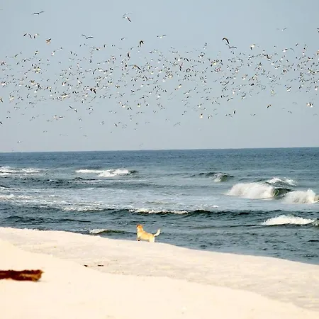 Apartamento White Pearl 0.03 *