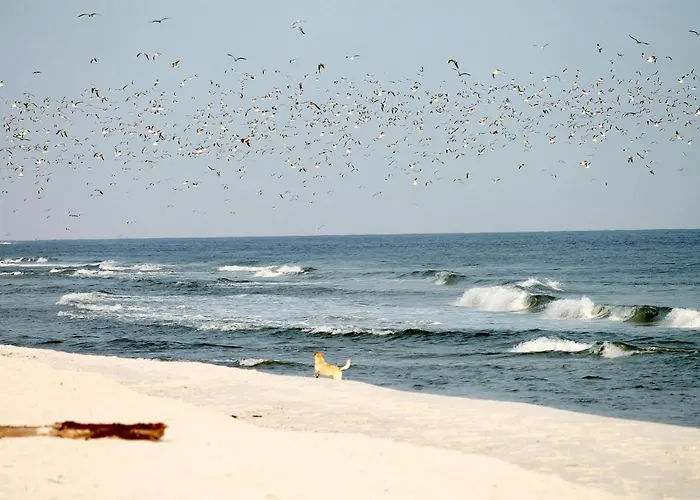 Διαμέρισμα White Pearl 0.03 *